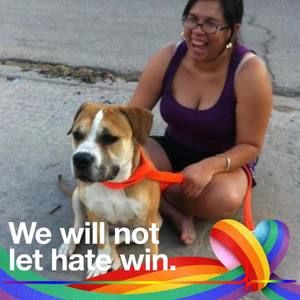 Meet your Posher, Gema